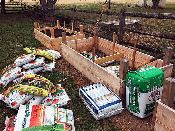 photo: raised beds getting filled