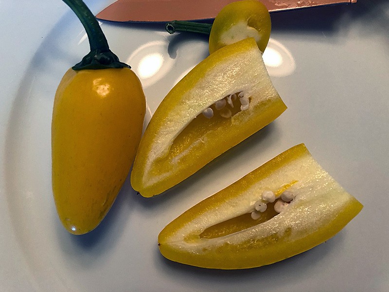 lemon spice jalapeno pepper