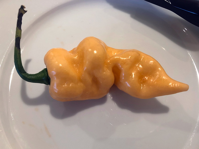 Ghost Yaki Peach pepper
