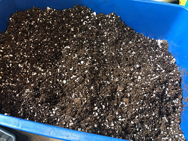 preparing seed starting dirt mix