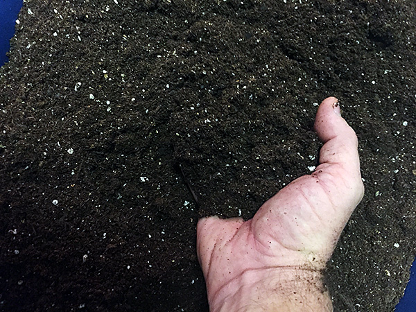 photo of soil mixture