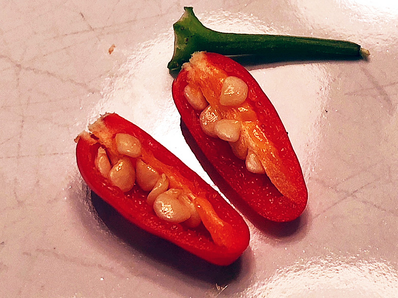 Pequin pepper cut open