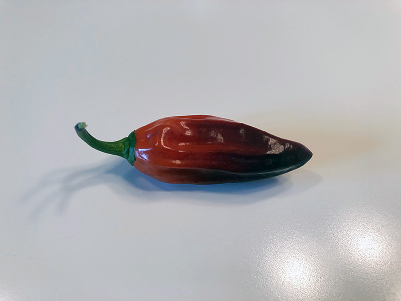 Naga Smooky Rainbow pepper