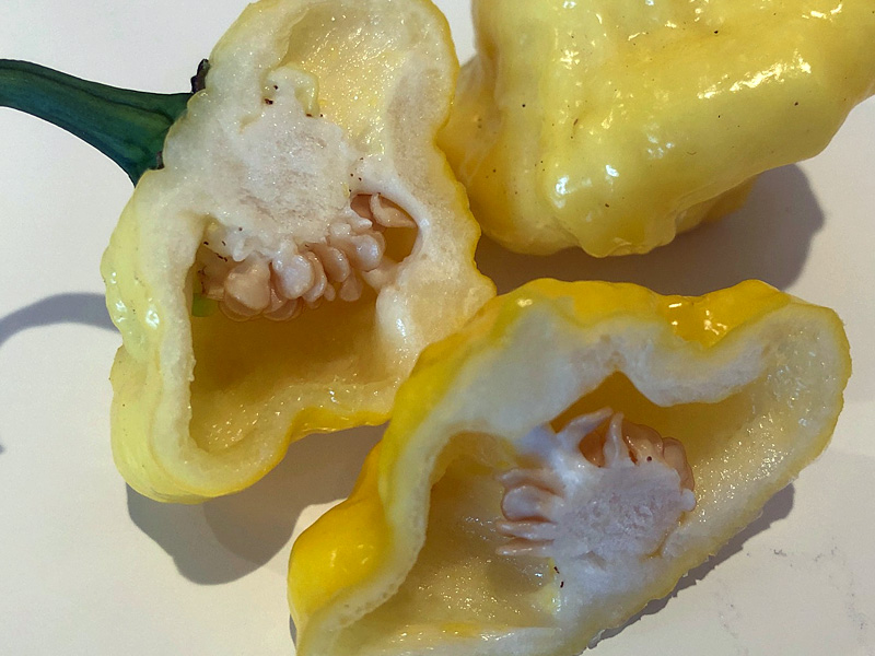 Lemon StarrBurst pepper