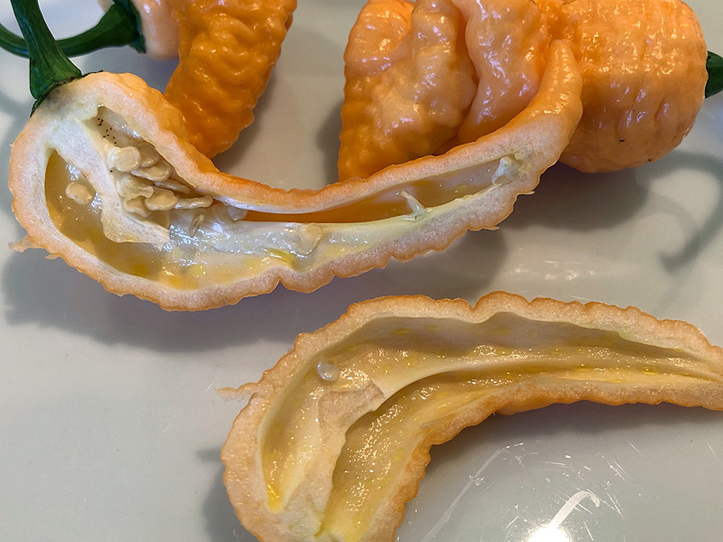 Invidia Orange-Peach peppers